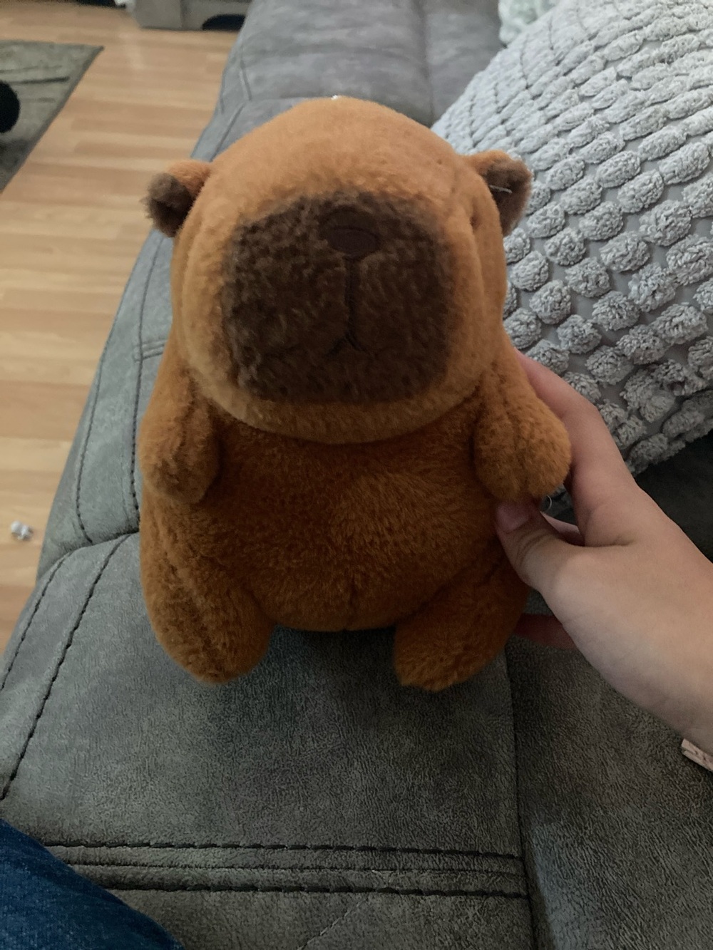Source Unknown Brown Plush Beaver Stuffed Animal